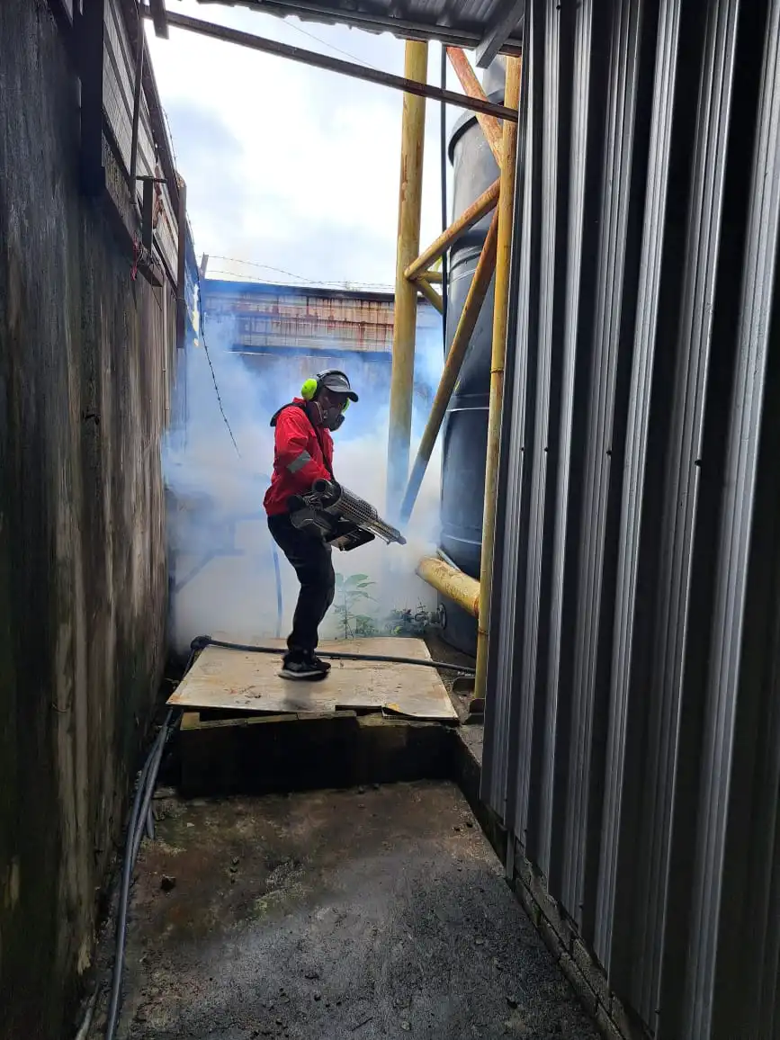 Mosquito fogging service at a commercial site in Kota Kinabalu